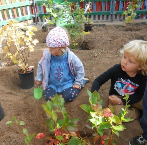 Tag der Nachhaltigkeit in der Kindertagesstätte Baumbach