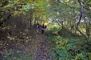 Naturpfad Oberellenbach